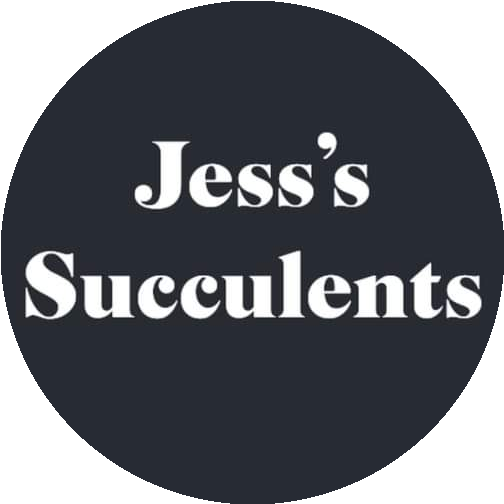 Jess's Succulents